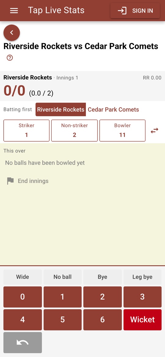 Choosing who bats first, the two batters and the bowler